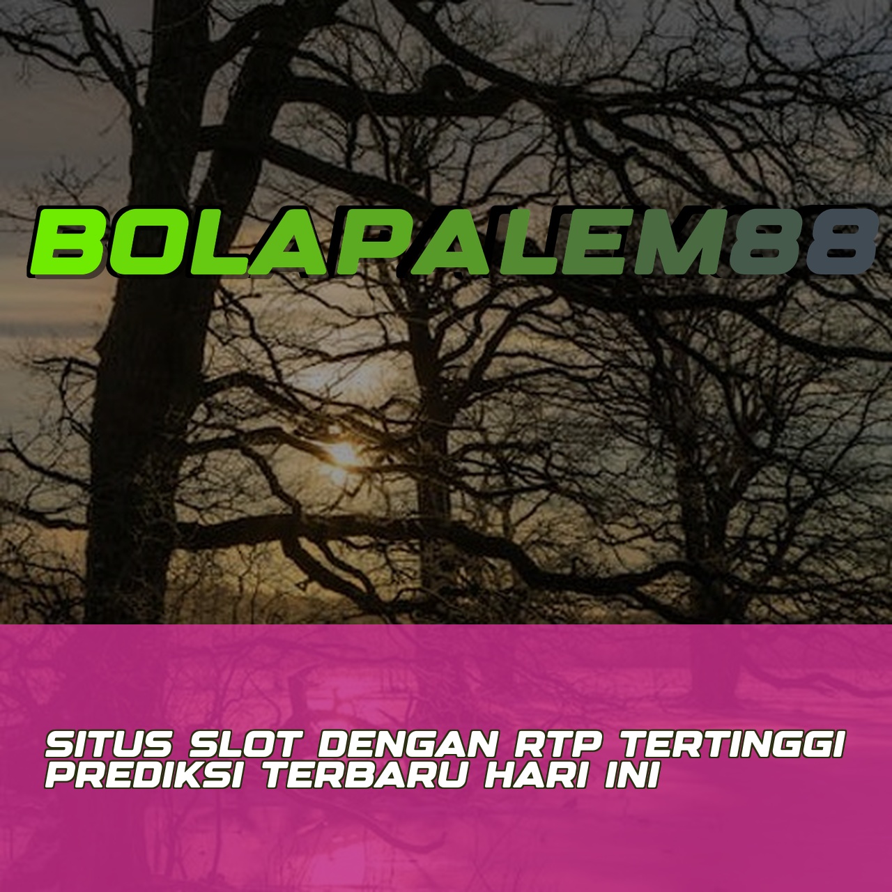 BOLAPALEM88