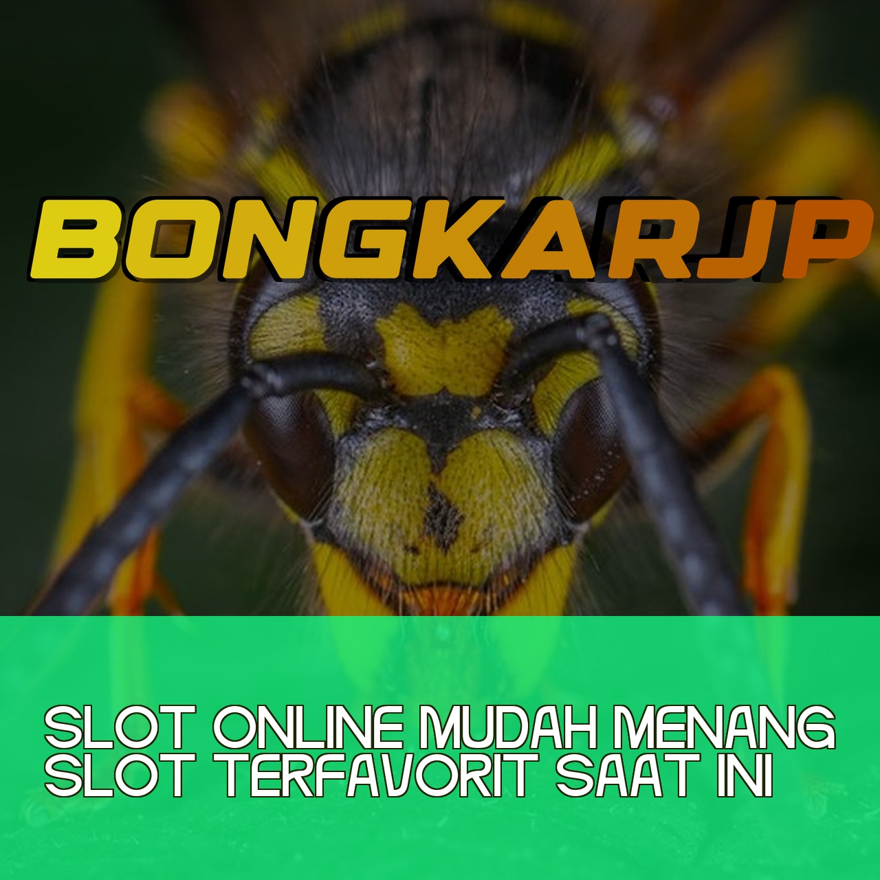 BONGKARJP