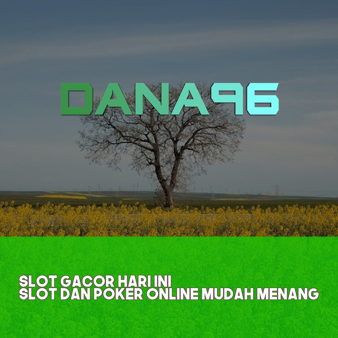 DANA96