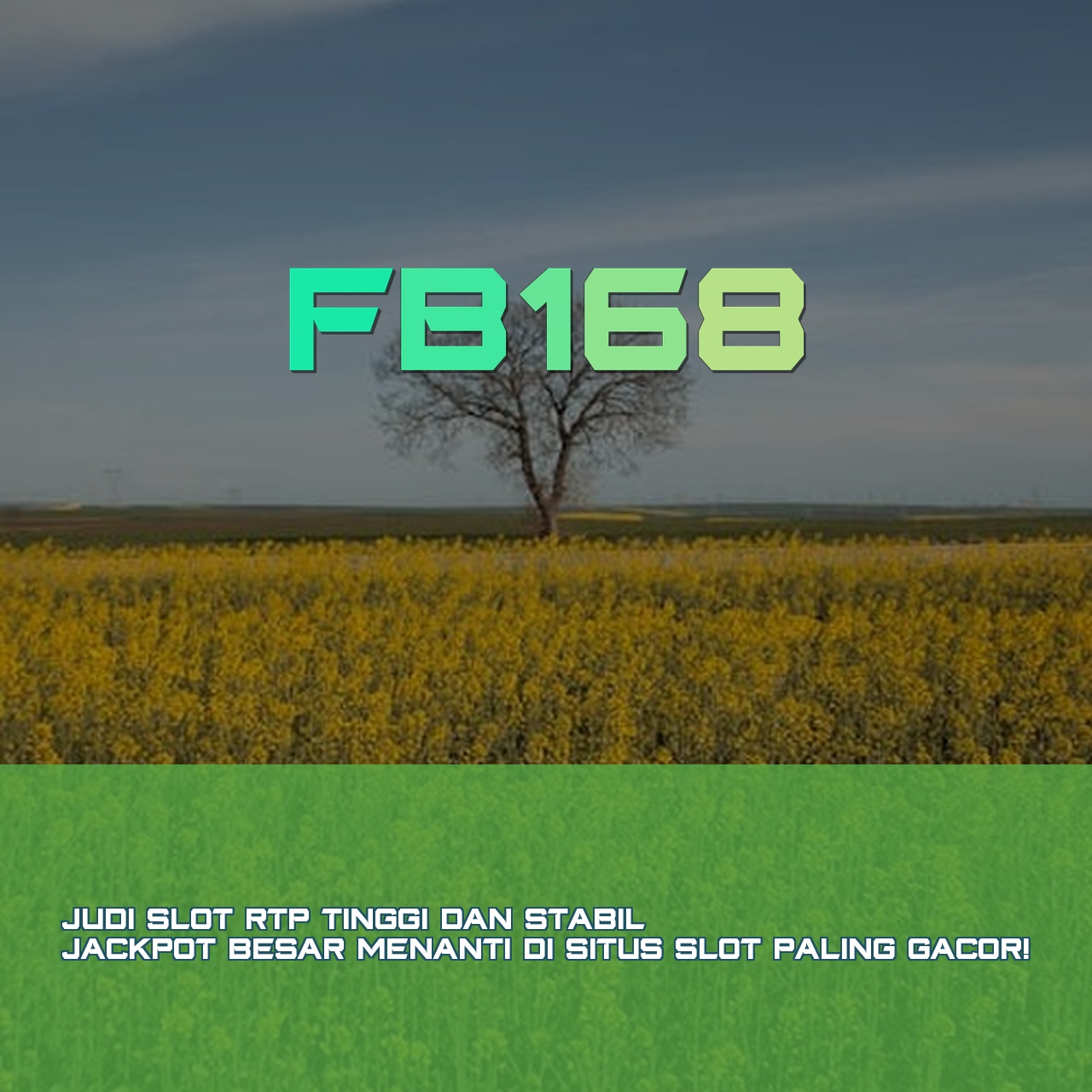 FB168