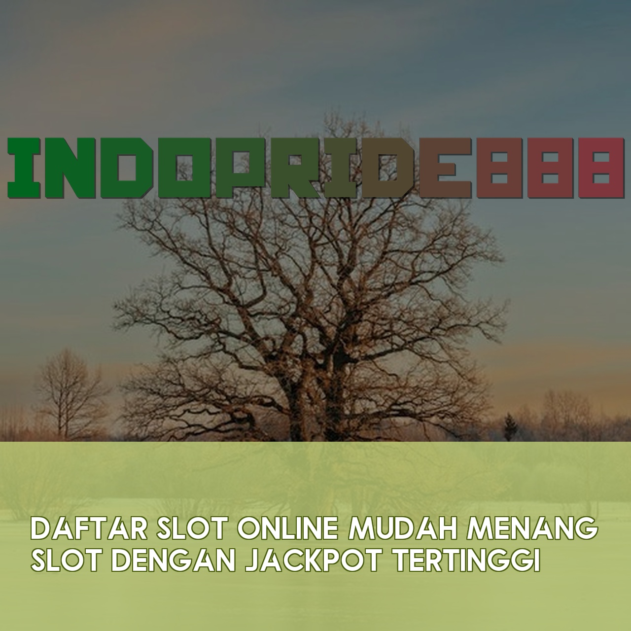 INDOPRIDE888