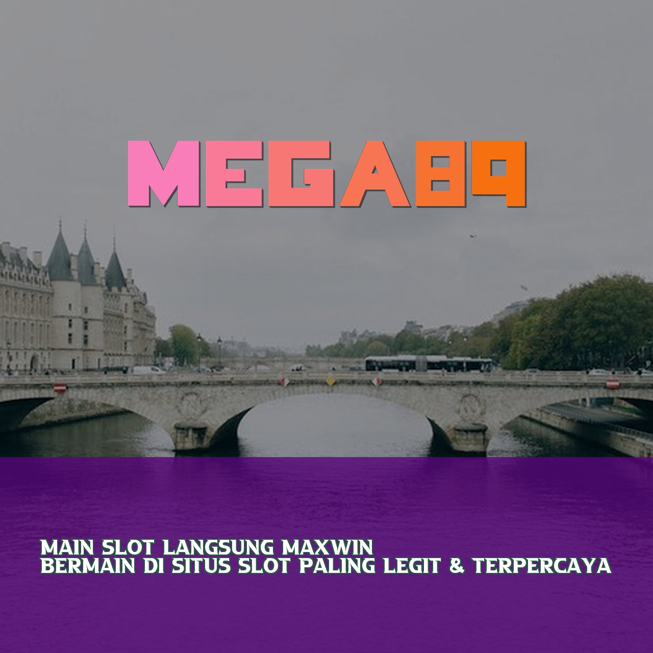 MEGA89