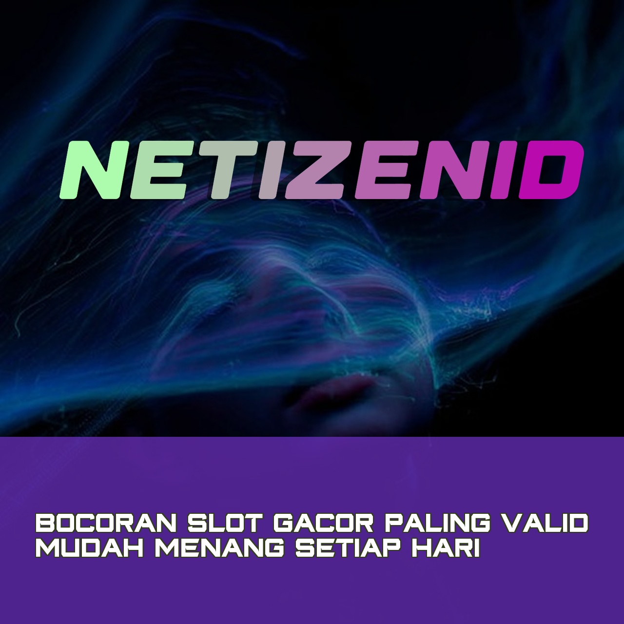 NETIZENID